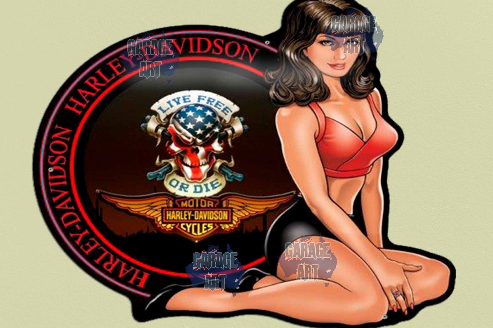 Harley Davidson Live Free or Die Pinup Tin Sign freeshipping - garageartaustralia