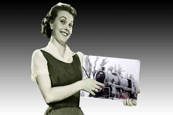 Frozen Steam Train Tin Sign freeshipping - garageartaustralia